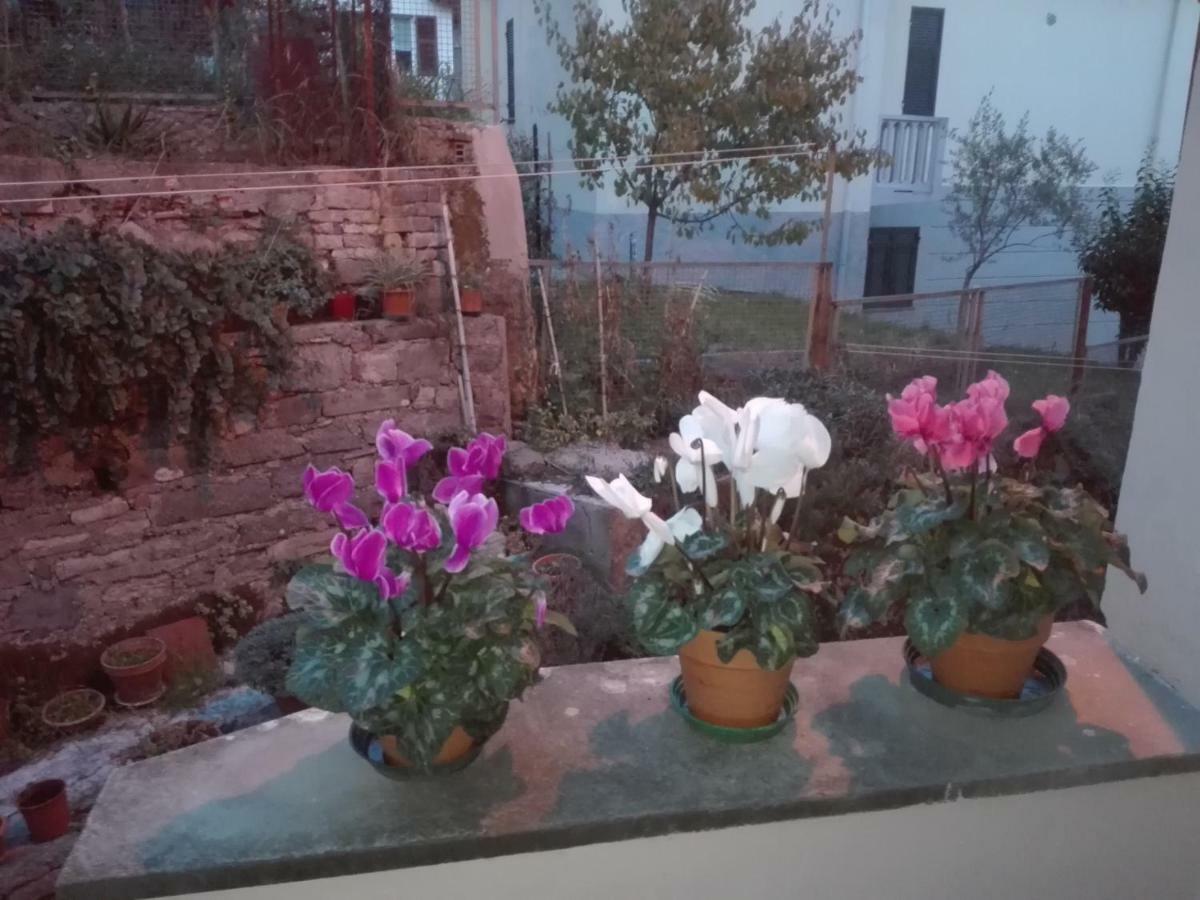 Appartement Il Borgo Antico à La Spezia Extérieur photo